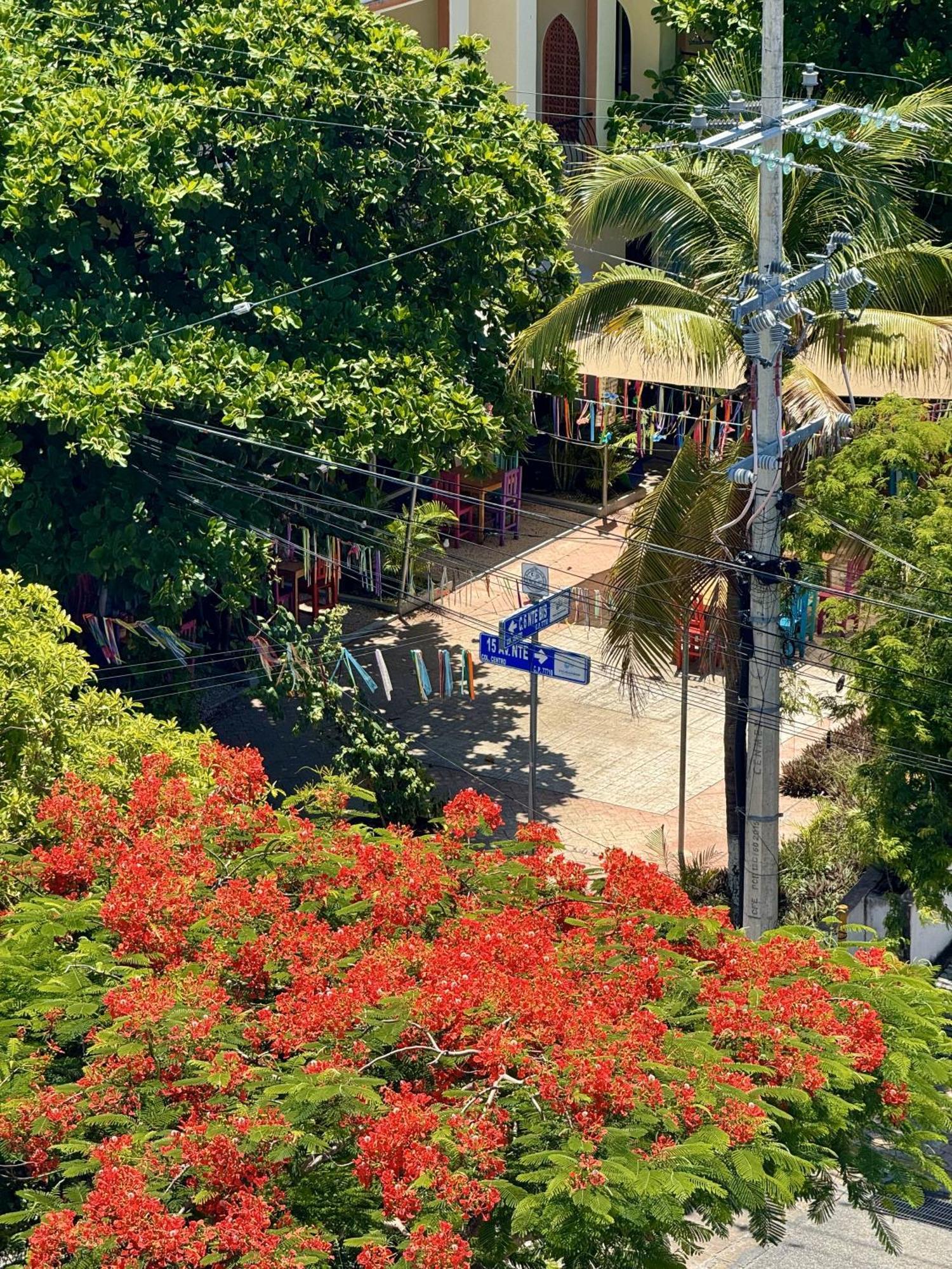 Mini Rooms By Illusion Playa del Carmen Luaran gambar